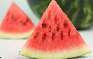 fruit吃瓜总群,fruit吃瓜总群精彩瞬间回顾