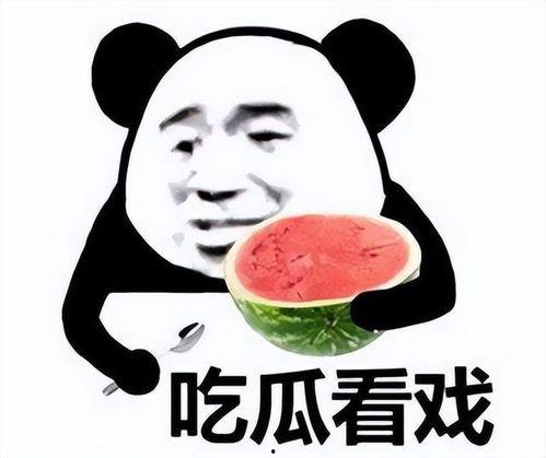 冷漠吃瓜表情包