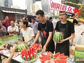 北京朝阳吃瓜群众今日吃瓜,今日吃瓜群众热议焦点