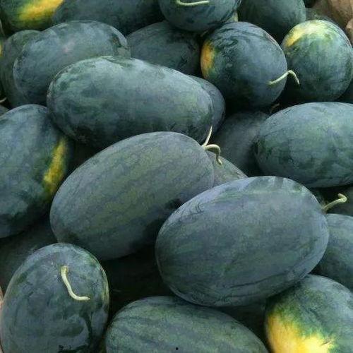 湖北文理吃瓜,一场吃瓜盛宴背后的校园文化现象