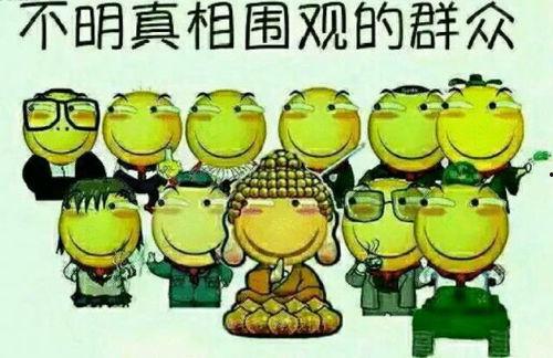 吃瓜群众青蛙图文,青蛙视角下的吃瓜群众众生相