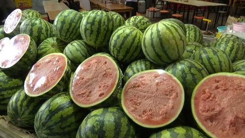 自自由吃瓜基地