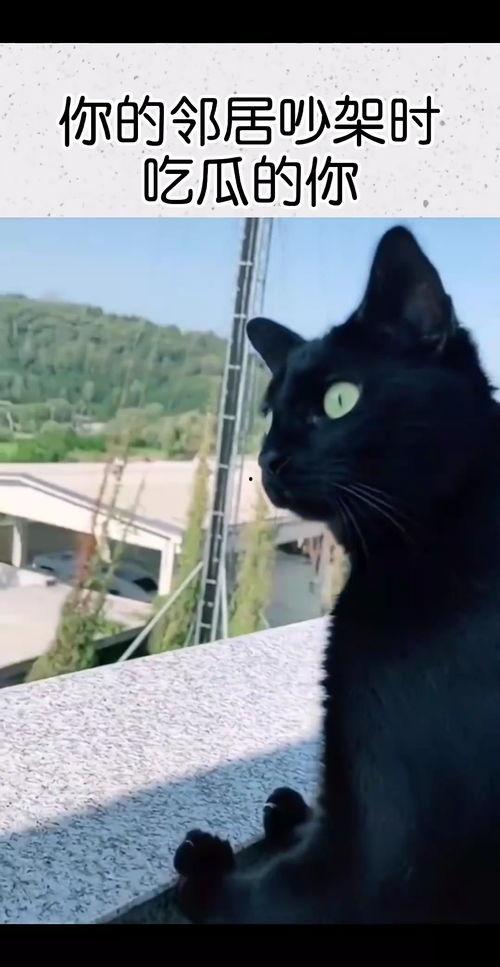 邻居吵架吃瓜,吃瓜群众围观一幕