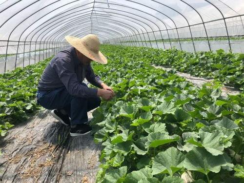 吃瓜群众老奶,揭秘娱乐圈那些不为人知的幕后故事