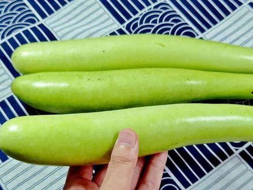 一卖瓜老人用瓜换面吃,一位卖瓜老人的智慧生活