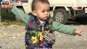 威廉和本特利吃瓜,瓜田笑谈，友谊长存