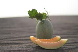 吃蜜瓜的秘诀视频,跟着视频学吃蜜瓜的秘诀