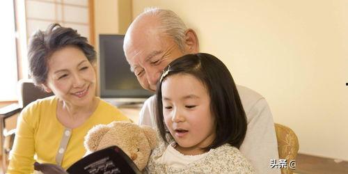 雪梨吃瓜后续剧情,真相大白，爱恨情仇终落幕