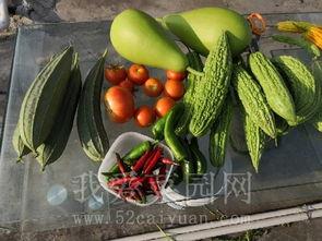 国内最大免费吃瓜,带你畅享娱乐盛宴