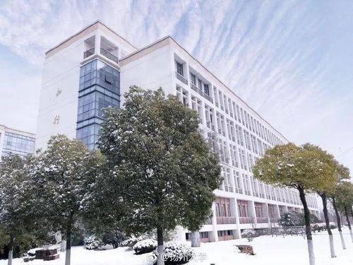 文汇路校区吃瓜,揭秘校园美食圈那些事儿”