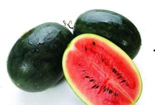 好听吃瓜音乐名字,探寻那些让人陶醉的旋律与故事