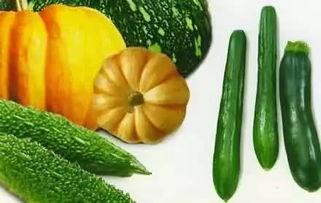 索超吃瓜,揭秘娱乐圈幕后故事