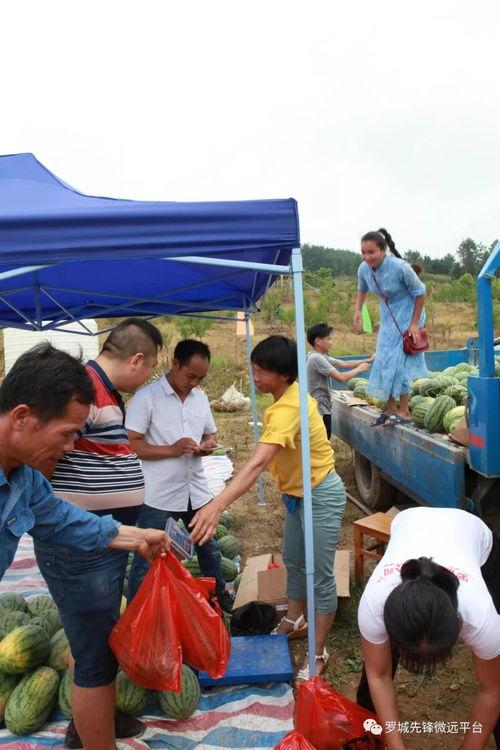 吃瓜自驾游,畅游美景，品味人生百态