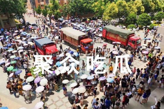 吃瓜高校培华,揭秘培华校园里的那些事儿