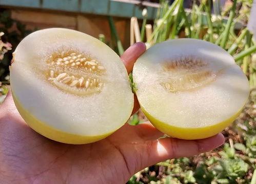 吃瓜小甜心,揭秘娱乐圈甜蜜背后的秘密