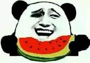 狗头吃瓜群众,揭秘网络热议背后的真实心态