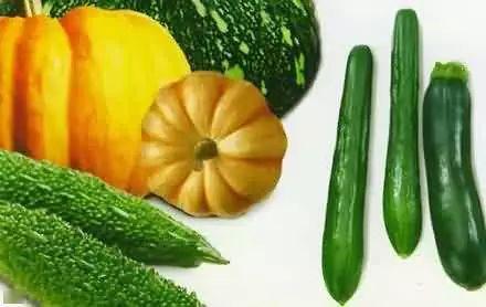 春山学院吃瓜,揭秘校园里的“吃瓜”风云