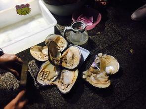 柴娘娘吃瓜,揭秘娱乐圈幕后故事