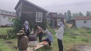 狗蛋吃瓜,揭秘瓜界趣闻，品味生活百态