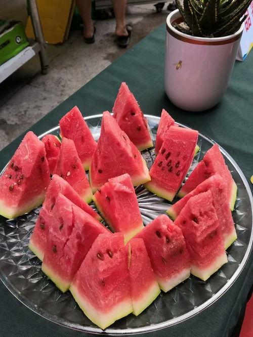 吃瓜有点慢,慢节奏中的娱乐洞察