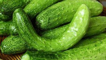 吃瓜黄瓜特效,夏日清凉特效秘籍