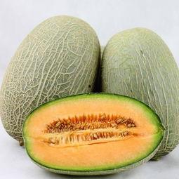 吃哈密瓜便秘么,哈密瓜食用后便秘？揭秘瓜果中的“便秘陷阱”