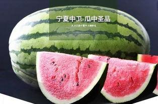 鲤鱼吃瓜视频大全,趣味视频大盘点，欢乐瞬间尽收眼底